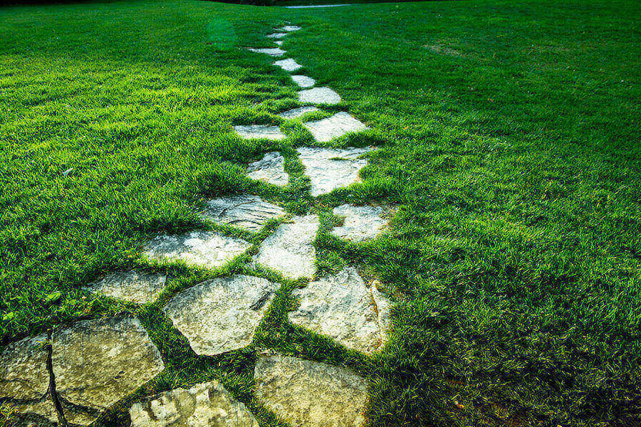 Stepping Stone Pathways Grass