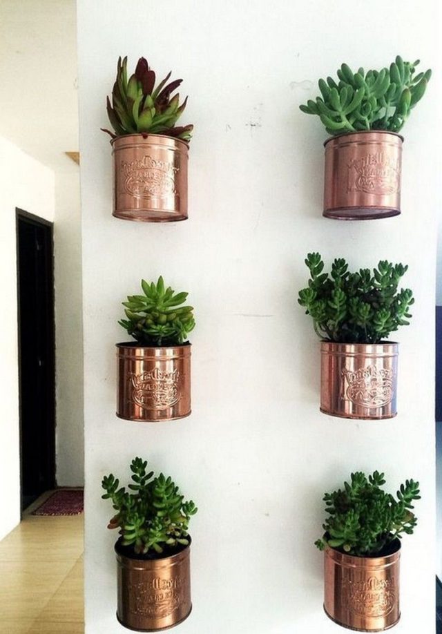 Balcony wall decoration with succulents